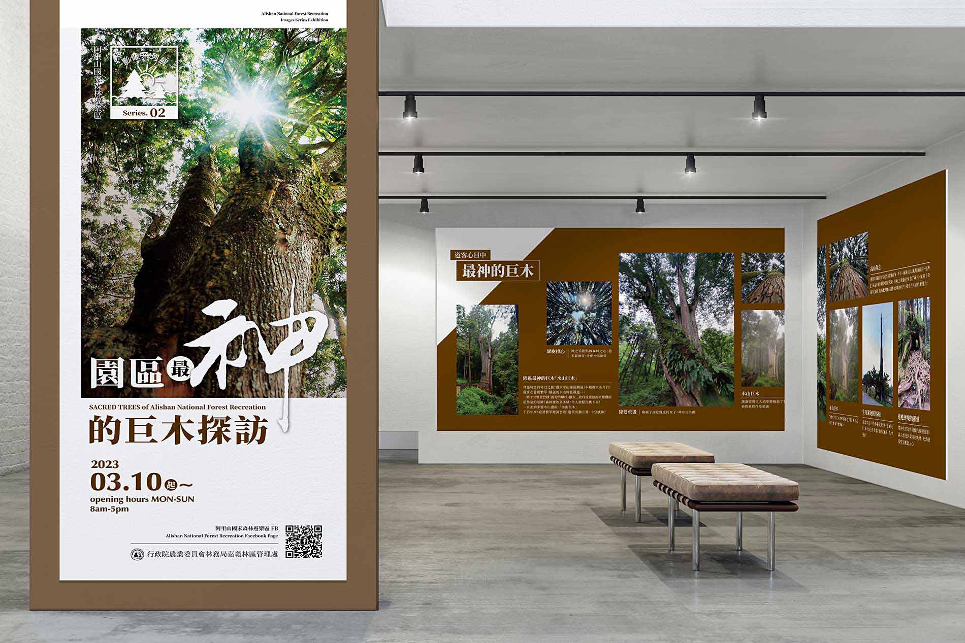 蕨類植物展設計_展場設計案例-3