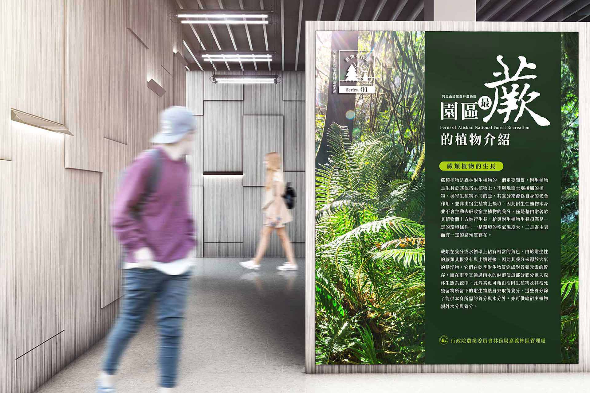 蕨類植物展設計_展場設計案例-7