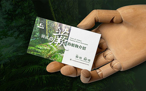 嘉義林管局蕨類植物展｜展覽規劃設計｜DM設計｜海報設計